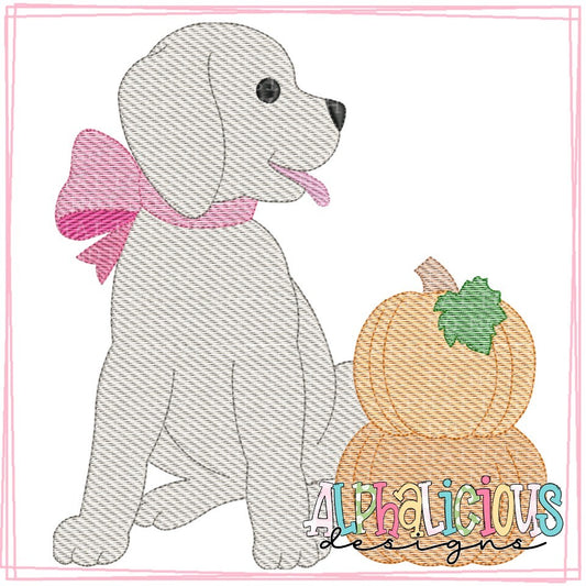 Pup with Bow and Pumpkin - Sketch