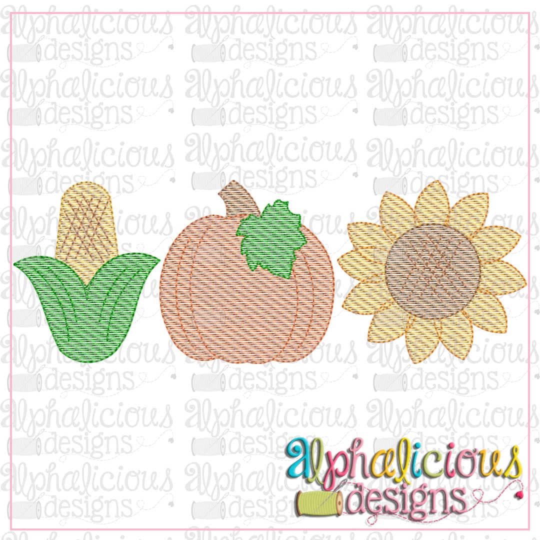 Pumpkin Patch Three in a Row- Sketch