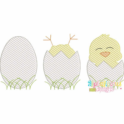 Chicks in Eggs- Sketch