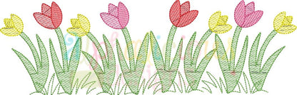Row of Tulips-Sketch